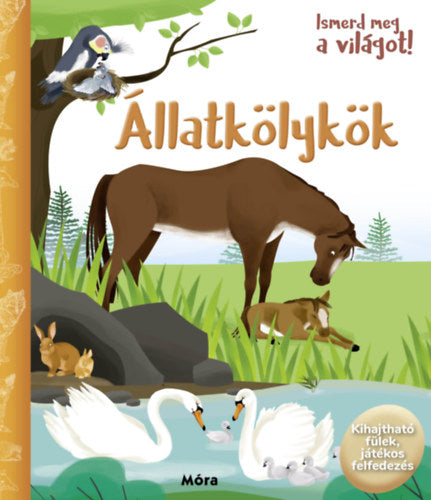 Lira carte in limba maghiara 12 m+ Ismerd meg a világot! - Állatkölykök