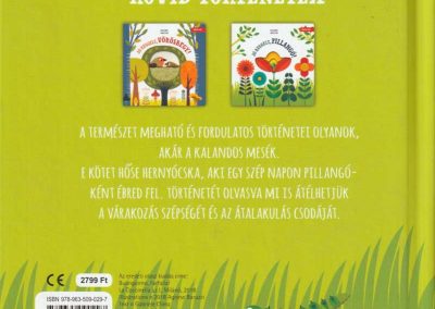 Lira carte in limba maghiara Jó reggelt
