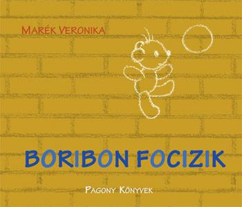 Lira carte povesti cu ilustratii in limba maghiara 12m+ Boribon focizik