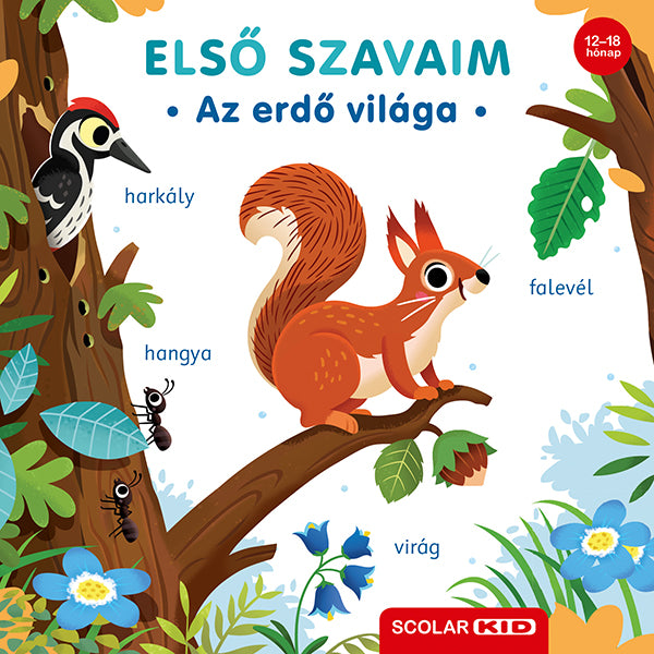 Lira carte povesti cu ilustratii in limba maghiara 12m+ Első szavaim - Az erdő világa