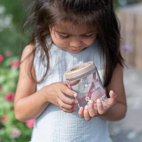 Little Dutch borcan pentru insecte 3 ani+ Fairy Graden