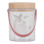 Little Dutch borcan pentru insecte 3 ani+ Fairy Graden
