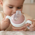 Little Dutch Mepal cana cu cioc 200 ml pentru bebelusi 6m+ Fairy Garden