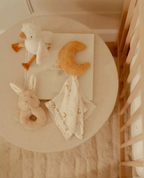 Little Dutch cutie cadou pentru bebelusi Newborn Naturals 0m+
