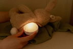 Little Dutch jucarie plus cu sunete albe si lumina de veghe Newborn Naturals 0m+ Bunny