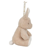 Little Dutch jucarie plus cu sunete albe si lumina de veghe Newborn Naturals 0m+ Bunny