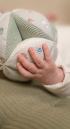 Little Dutch minge senzoriala 0m+ Little Farm