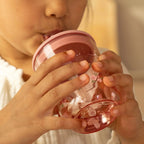 Little Dutch Mepal pahar cu pai si capac 250 ml 12m+ Fairy Garden