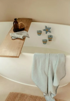 Little Dutch set jucarii de baie 10m+ Starfish