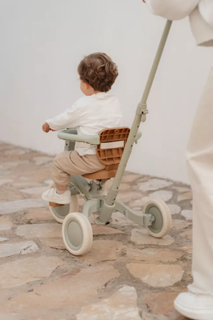 Little Dutch tricicleta 4in1 cu bara de impingere 1-3 ani Green Leaf