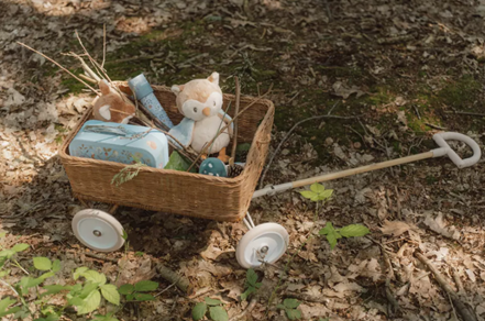 Little Dutch valiza decorativa set de 2 bucati 18m+ Forest Friends