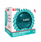 Ludi Minge senzoriala 6m+ Albastru