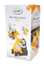 Ludi Catel saltaret 10m+