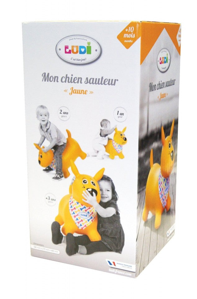 Ludi Catel saltaret 10m+