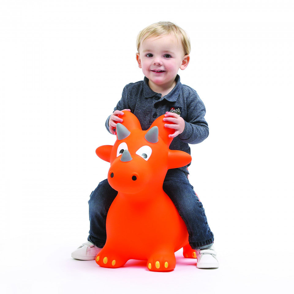 Ludi Dinosaur saltaret 10m+ LUD90023 04