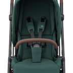  Essential Green