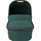  Essential Green