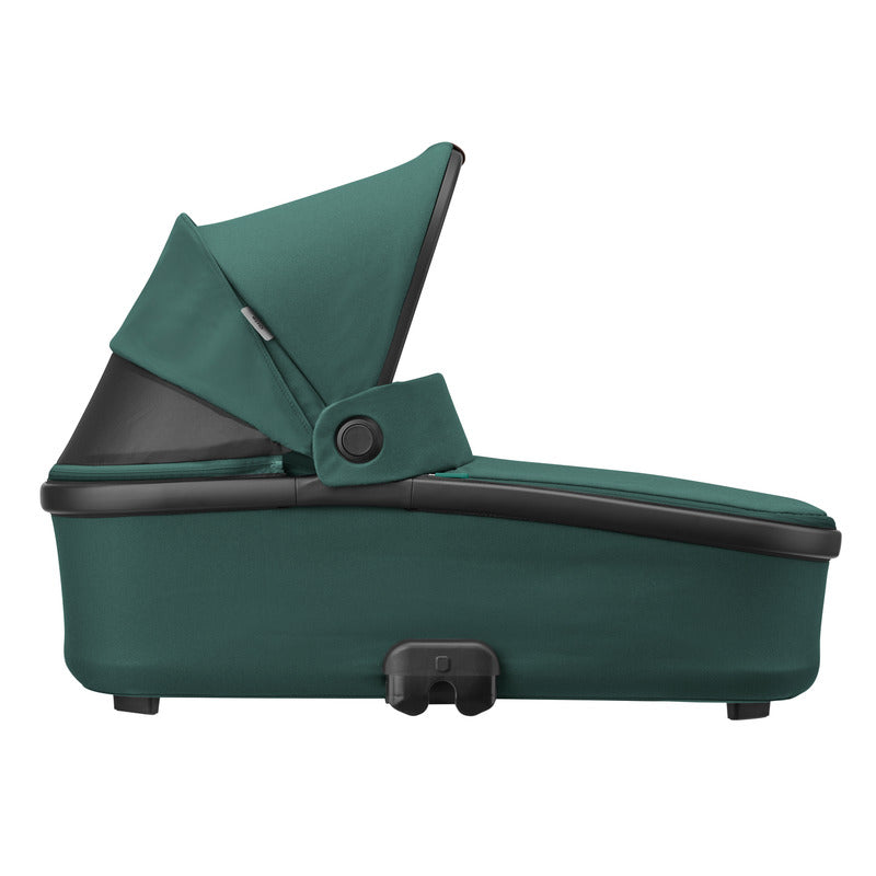  Essential Green