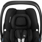  Essential Back