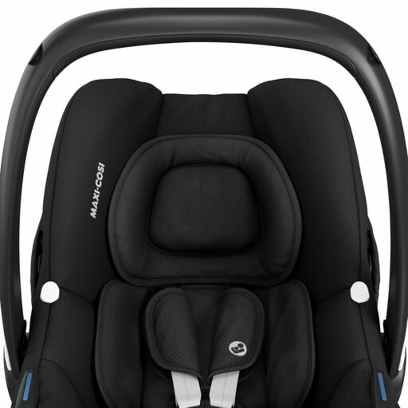  Essential Back