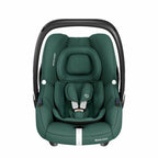  Essential Green