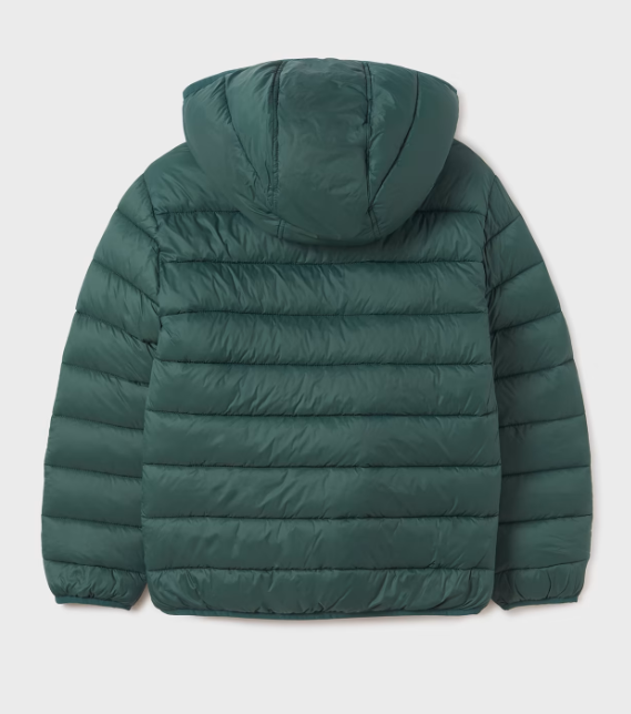  Dark menta