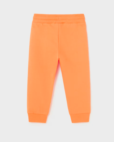  Mandarina