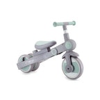 Momi Tricicleta transformabila 4in1 SOLIVIA 12m+ Green
