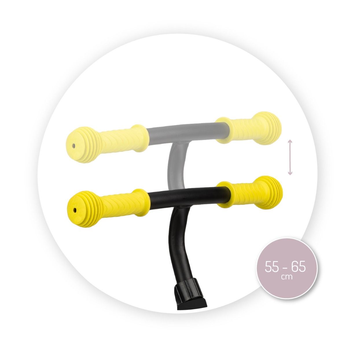  Lemon ROBI00022 05