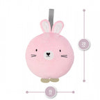  Bunny AKCE00014 03