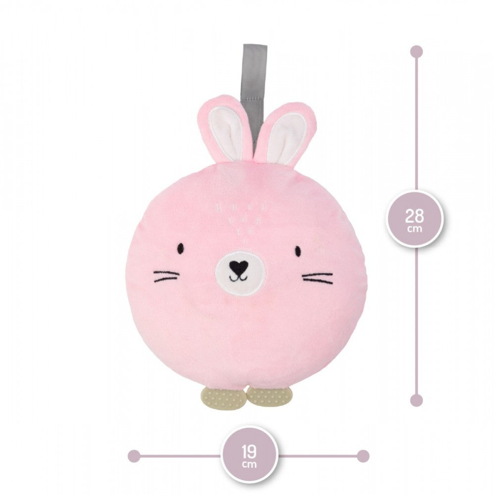  Bunny AKCE00014 03