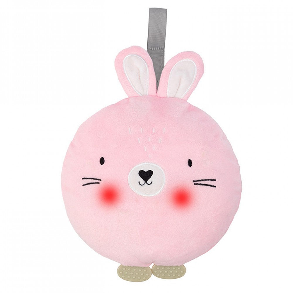  Bunny AKCE00014 02
