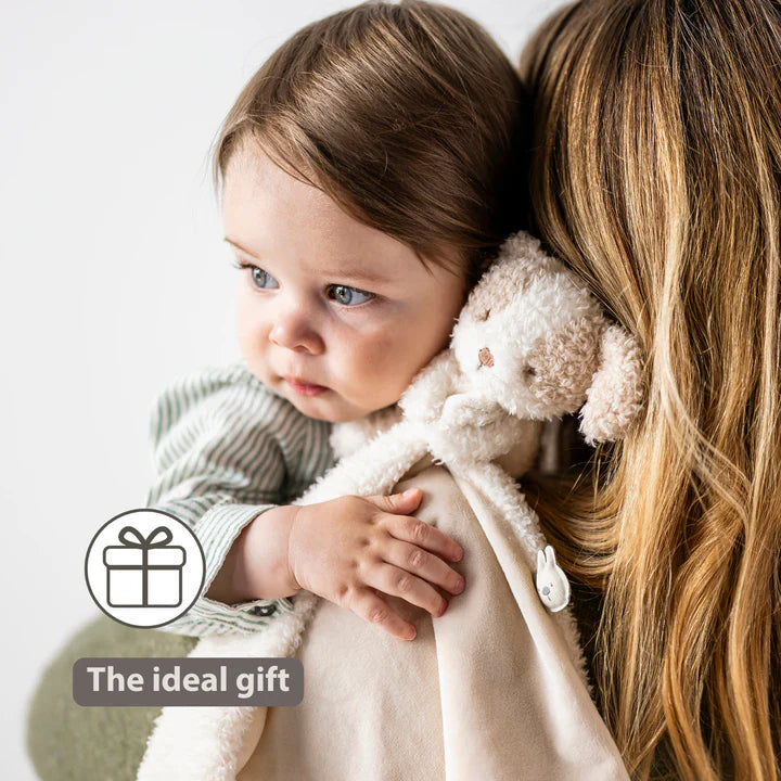 Nattou paturica de dormit Doudou 0m+ Teddy Dog Beige