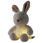 Nattou jucarie plus si lampa de veghe 25 cm 0m+ Teddy Bunny Beige