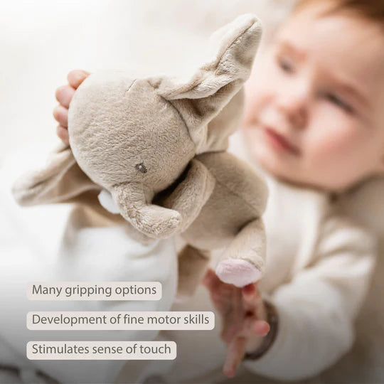 Nattou paturica de dormit Doudou 0m+ FanFan Elefant Off-white