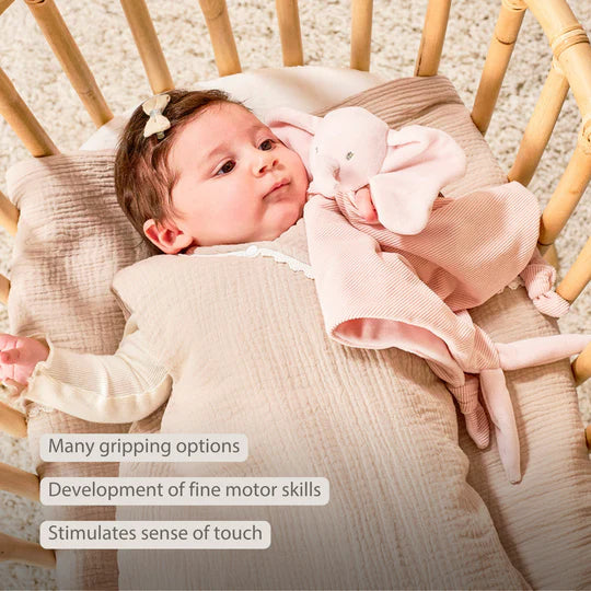 Nattou paturica de dormit Doudou 0m+ FanFan Elefant Pink