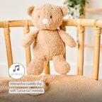 Nattou jucarie plus muzicala 22 cm 0m+ Teddy Ursulet Beige