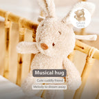 Nattou jucarie plus muzicala 25 cm 0m+ Teddy Bunny Beige