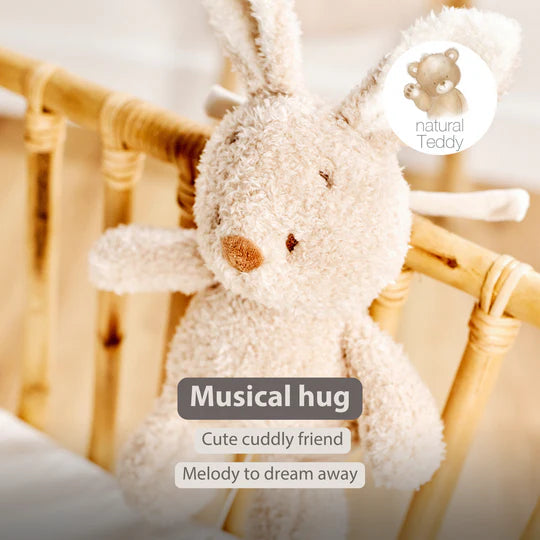 Nattou jucarie plus muzicala 25 cm 0m+ Teddy Bunny Beige