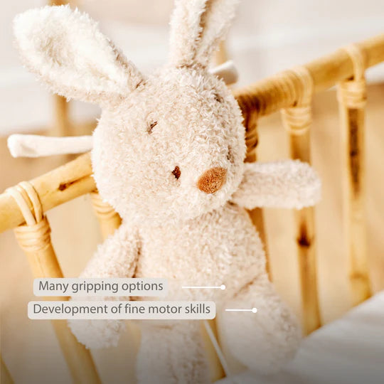 Nattou jucarie plus muzicala 25 cm 0m+ Teddy Bunny Beige
