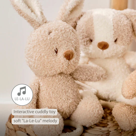 Nattou jucarie plus muzicala 25 cm 0m+ Teddy Bunny Beige