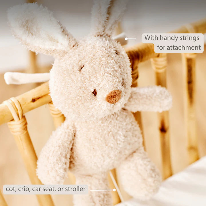 Nattou jucarie plus muzicala 25 cm 0m+ Teddy Bunny Beige