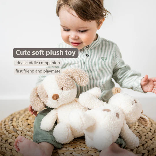 Nattou jucarie plus 23 cm Teddy Dog Beige