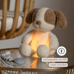 Nattou jucarie plus si lampa de veghe 25 cm 0m+ Teddy Dog Beige