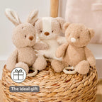 Nattou jucarie plus muzicala 25 cm 0m+ Teddy Dog Beige