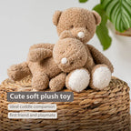 Nattou jucarie plus 22 cm Teddy Ursulet Beige
