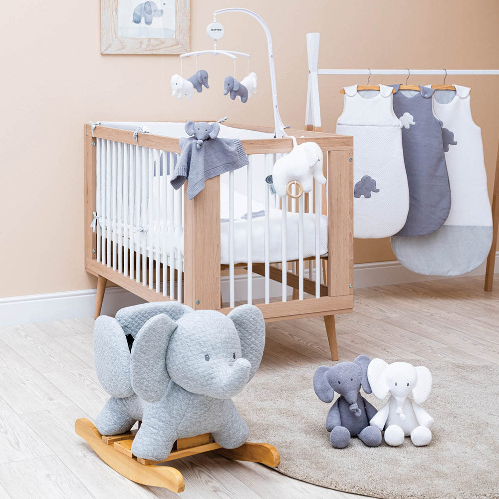  Elefant Tembo 01