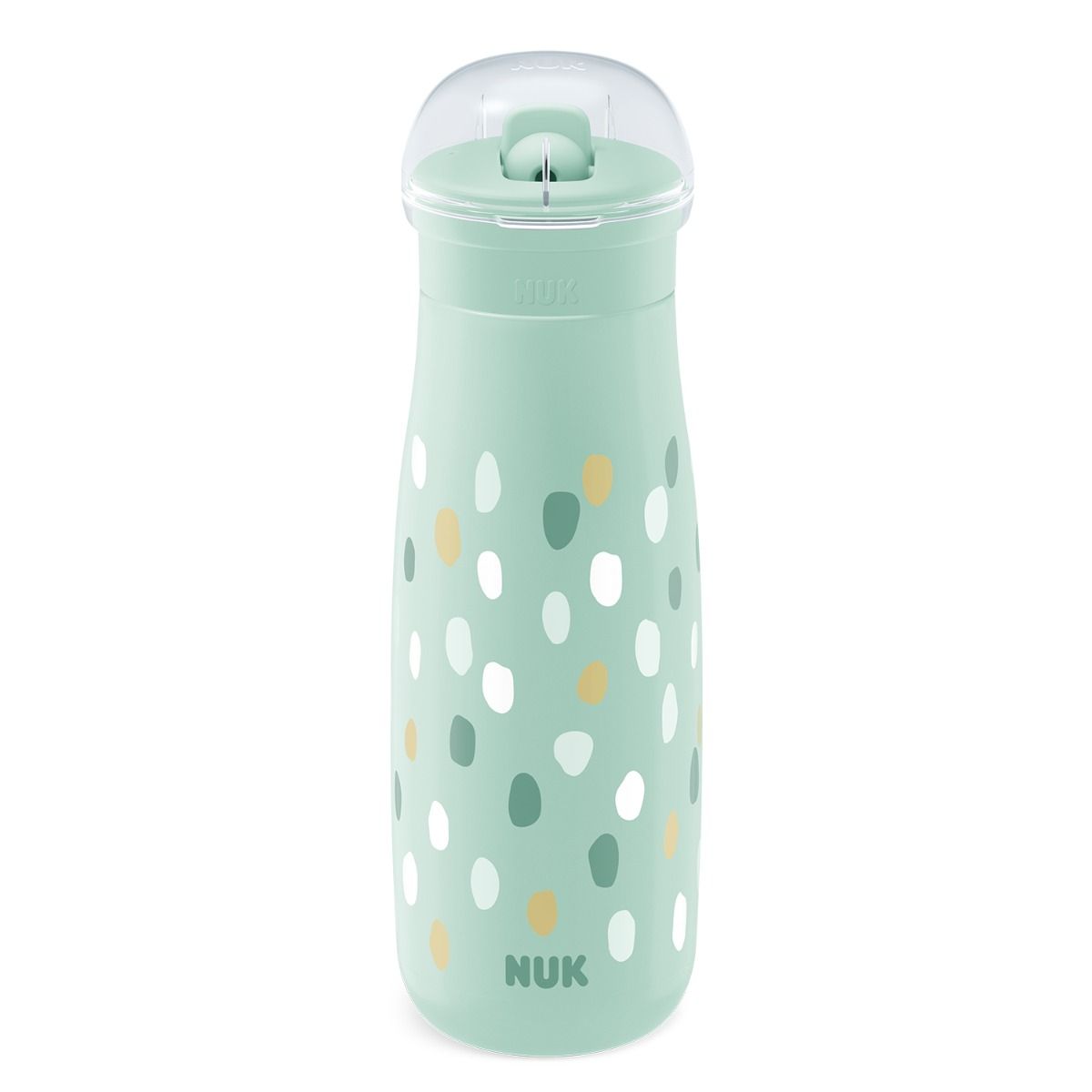 Nuk canita 2in1 Mini-Me Flip de 450 ml 12m+ Menta