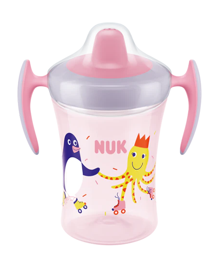 Nuk Trainer Cup cana de baut 230 ml 6m+