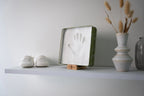Petit Artichaut cutie cu kit amprenta pentru bebelusi 0m+ Olive Tree